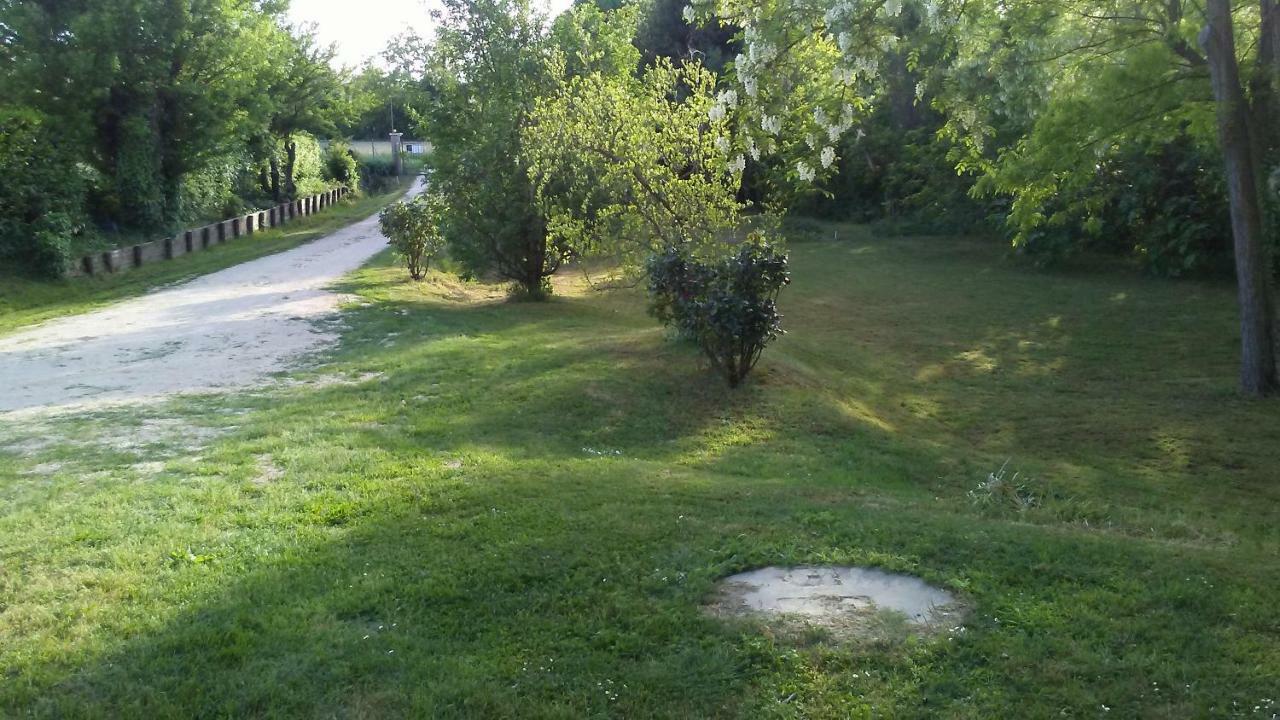 Bed And Breakfast Sile E Natura Sant'Elena di Silea Extérieur photo